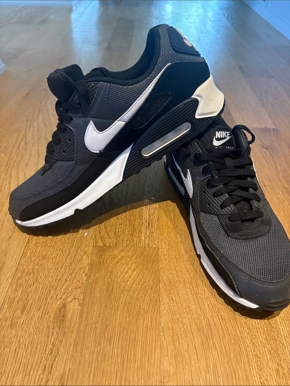 Nike Black and White Air Max Sneakers